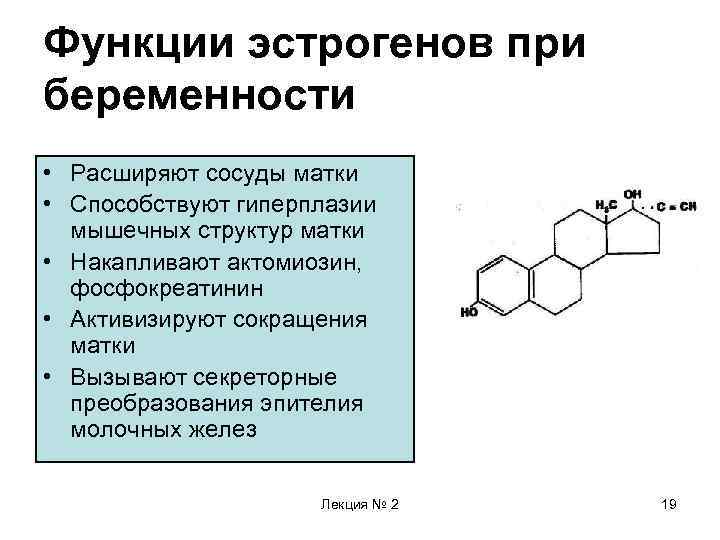 Функции прогестерона. Эстроген при беременности. Роль эстрогенов при беременности. Эстрогены функции гормона. Эстроген функции при беременности.