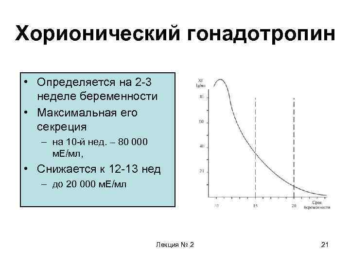 Хорионический гонадотропин • Определяется на 2 -3 неделе беременности • Максимальная его секреция –