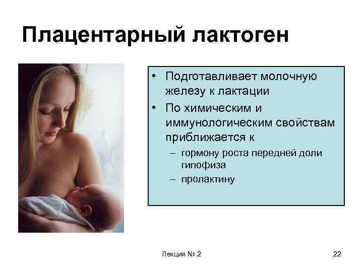 Плацентарный лактоген • Подготавливает молочную железу к лактации • По химическим и иммунологическим свойствам