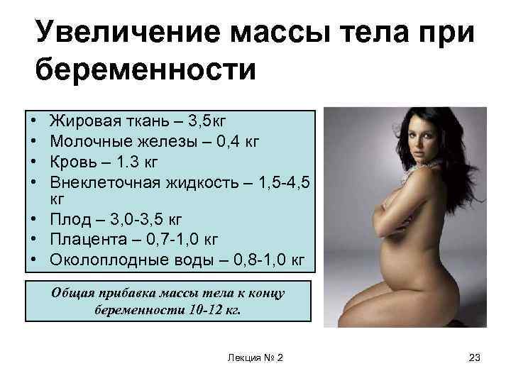 Увеличение массы тела при беременности • • Жировая ткань – 3, 5 кг Молочные