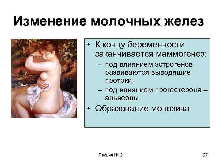 Изменение молочных желез • К концу беременности заканчивается маммогенез: – под влиянием эстрогенов развиваются