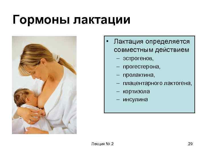 Гормоны лактации • Лактация определяется совместным действием – – – Лекция № 2 эстрогенов,