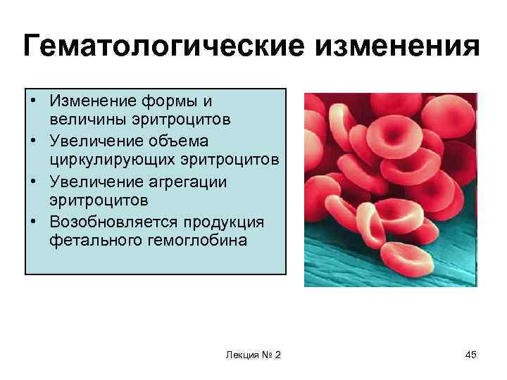 Пониженный гемоглобин и повышенные эритроциты