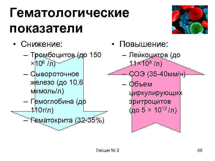 Гематологические показатели • Снижение: • Повышение: – Тромбоцитов (до 150 × 106 /л) –