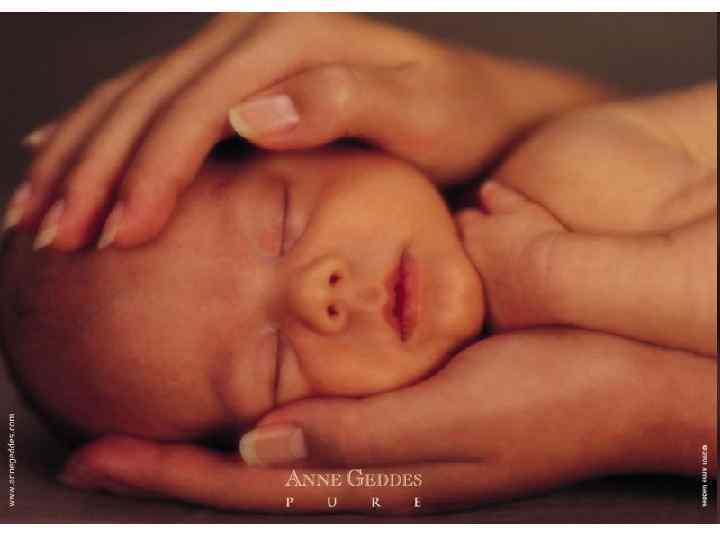 Лекция № 2 59 