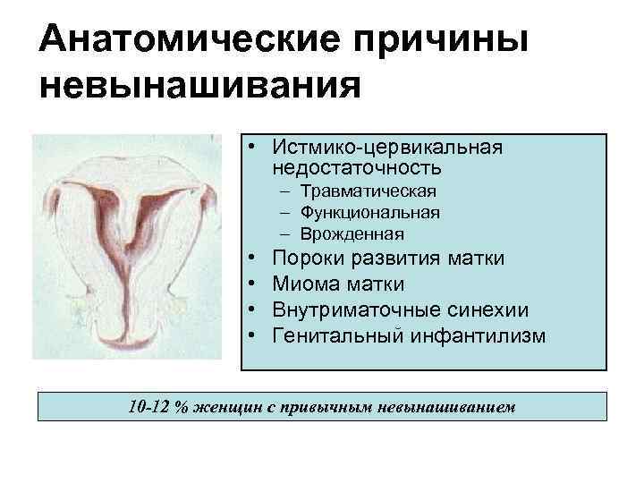 Анатомические причины невынашивания • Истмико-цервикальная недостаточность – Травматическая – Функциональная – Врожденная • •