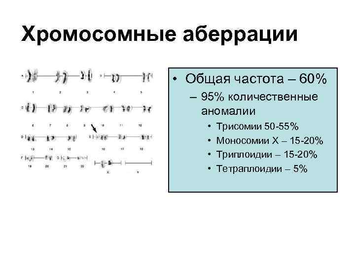Хромосомные аберрации • Общая частота – 60% – 95% количественные аномалии • • Трисомии