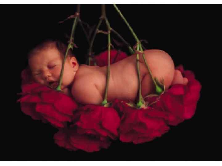 Лекция № 7 64 