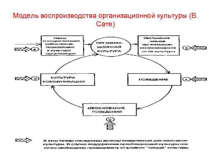 Модель воспроизводства организационной культуры (В. Сате) 