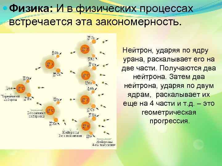  Физика: И в физических процессах встречается эта закономерность. Нейтрон, ударяя по ядру урана,