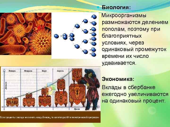  Биология: Микроорганизмы размножаются делением пополам, поэтому при благоприятных условиях, через одинаковый промежуток времени