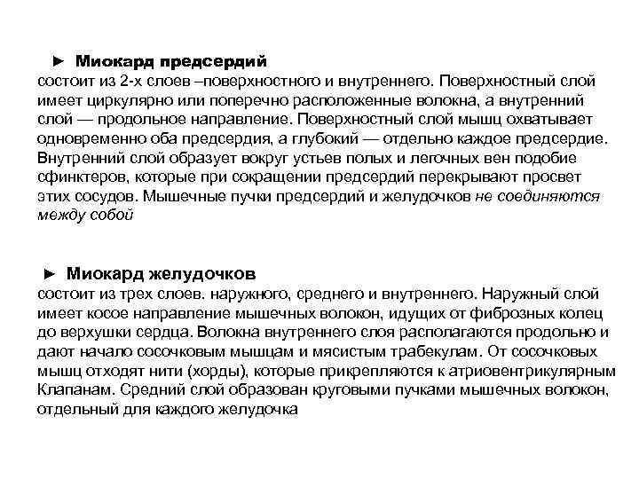► Миокард предсердий состоит из 2 -х слоев –поверхностного и внутреннего. Поверхностный слой имеет