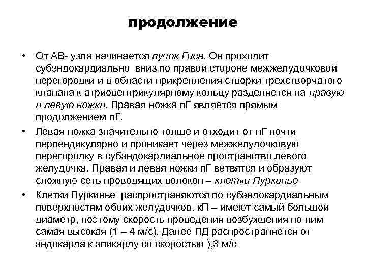 продолжение • От АВ- узла начинается пучок Гиса. Он проходит субэндокардиально вниз по правой