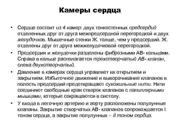 Камеры сердца • Сердце состоит из 4 камер: двух тонкостенных предсердий отделенных друг от