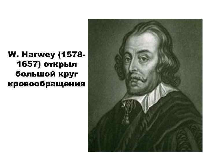 W. Harwey (15781657) открыл большой круг кровообращения 