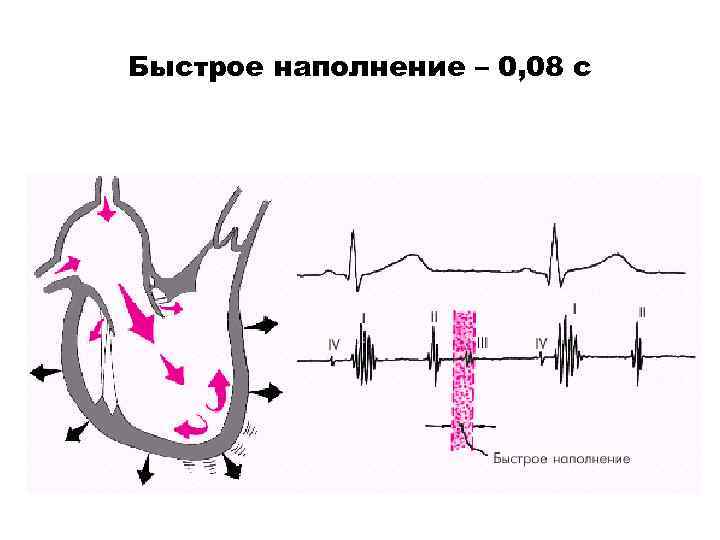 Быстрое наполнение – 0, 08 с 