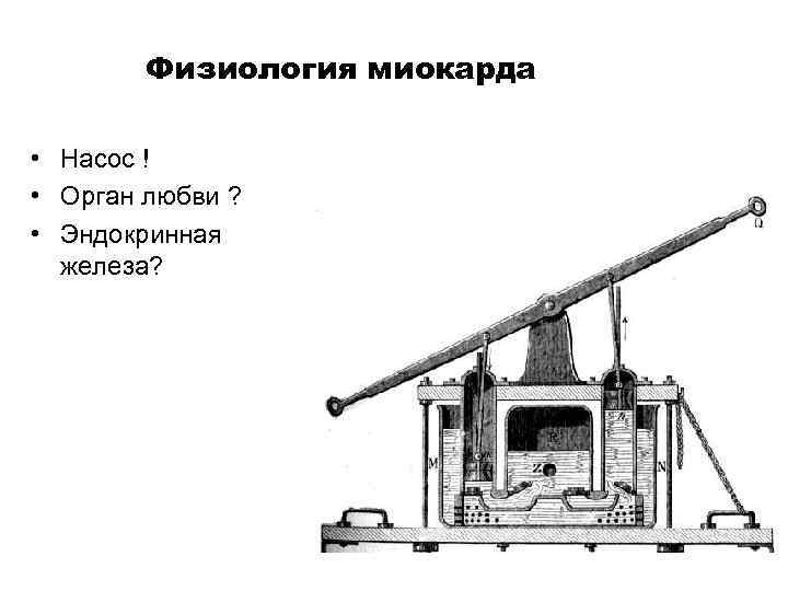 Физиология миокарда • Насос ! • Орган любви ? • Эндокринная железа? 