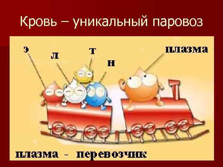Кровь – уникальный паровоз 