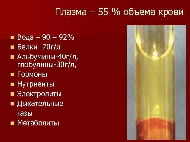 Плазма – 55 % объема крови Вода – 90 – 92% n Белки- 70