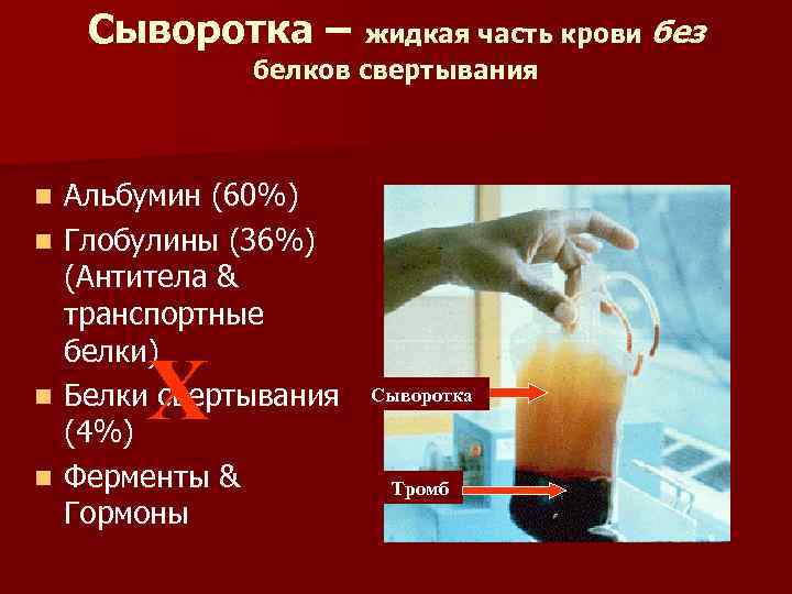 Сыворотка – жидкая часть крови без белков свертывания n n Альбумин (60%) Глобулины (36%)