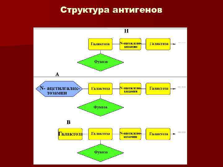 Структура антигенов 