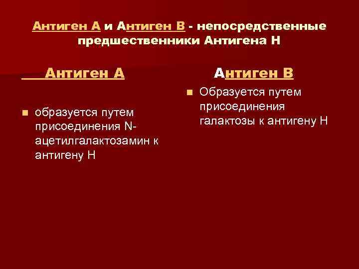 Антиген A и Антиген B - непосредственные предшественники Антигена H Антиген A Антиген B