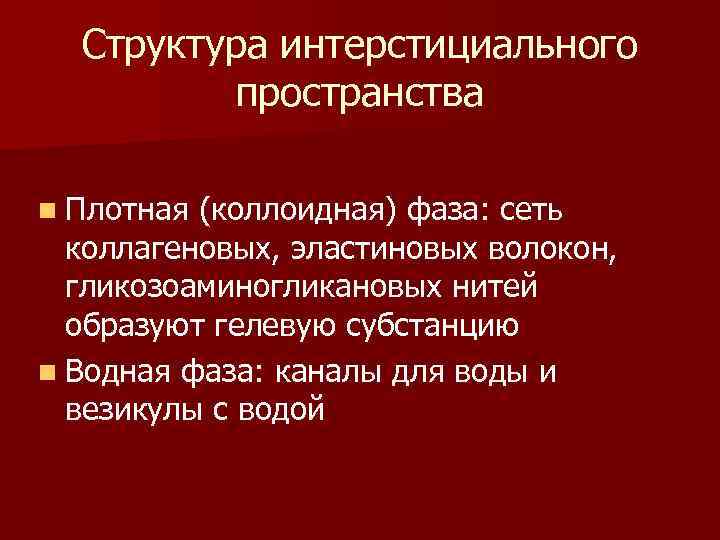 Структура интерстициального пространства n Плотная (коллоидная) фаза: сеть коллагеновых, эластиновых волокон, гликозоаминогликановых нитей образуют