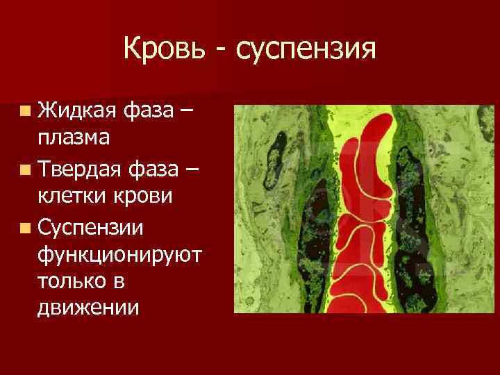 Кровь - суспензия n Жидкая фаза – плазма n Твердая фаза – клетки крови