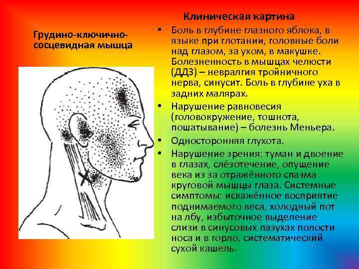 Где находятся сосцевидные отростки за ушами фото