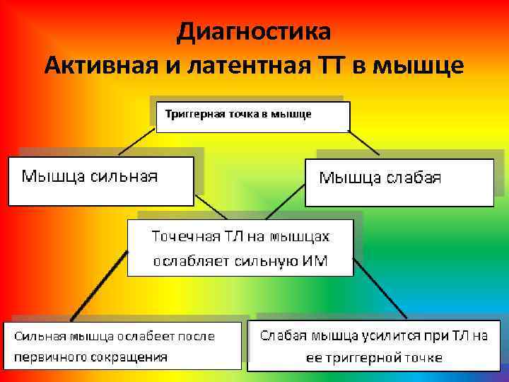 Диагностика Активная и латентная ТТ в мышце 