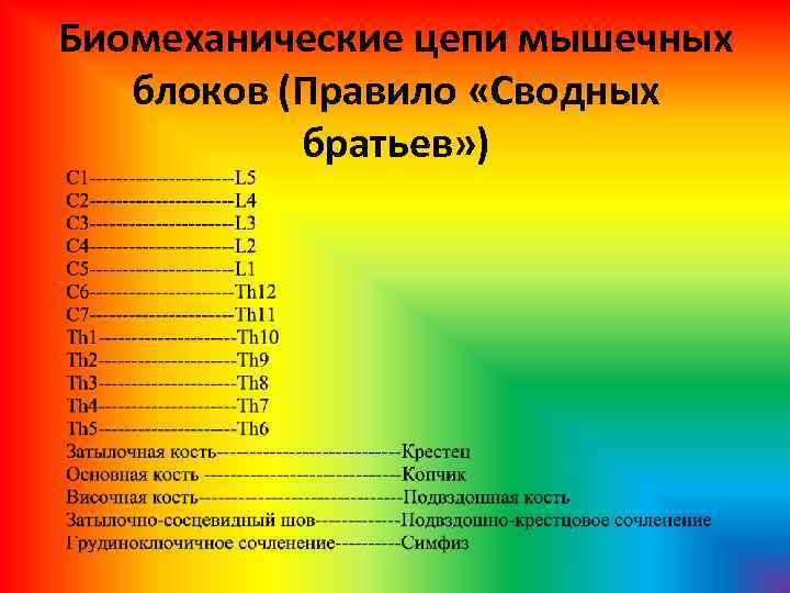 Биомеханические цепи мышечных блоков (Правило «Сводных братьев» ) 