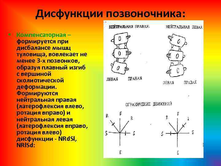 Дисфункции позвоночника: • Компенсаторная – формируется при дисбалансе мышц туловища, вовлекает не менее 3