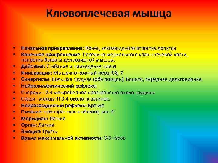Клювоплечевая мышца • • • • Начальное прикрепление: Конец клювовидного отростка лопатки Конечное прикрепление: