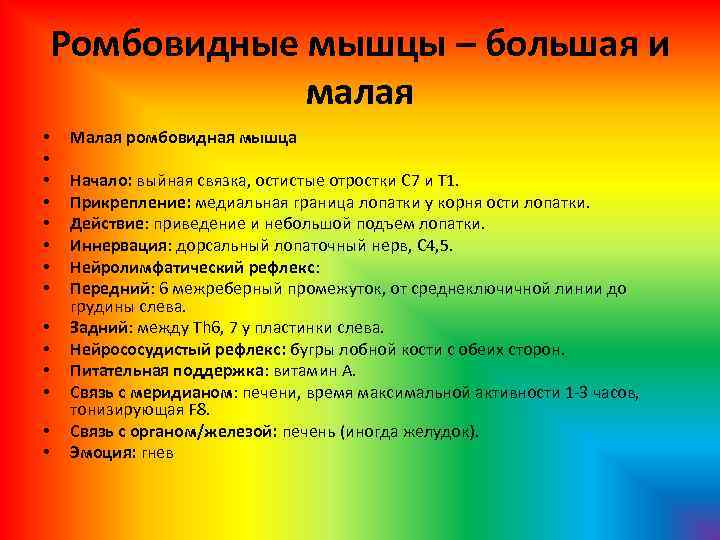 Ромбовидные мышцы – большая и малая • • • • Малая ромбовидная мышца Начало: