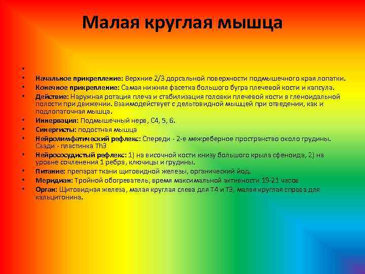 Малая круглая мышца • • • Начальное прикрепление: Верхние 2/3 дорсальной поверхности подмышечного края