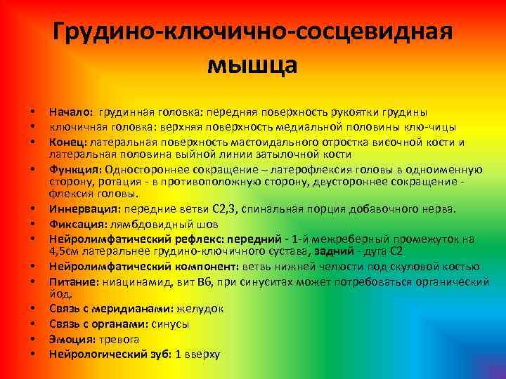 Грудино-ключично-сосцевидная мышца • • • • Начало: грудинная головка: передняя поверхность рукоятки грудины ключичная