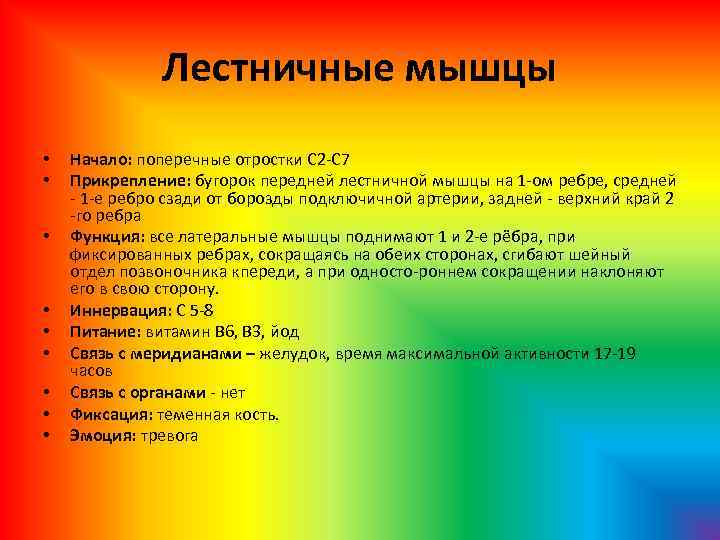 Лестничные мышцы • • • Начало: поперечные отростки С 2 С 7 Прикрепление: бугорок