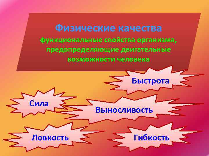 Морфологические и функциональные свойства организма. Физические качества. Функциональные свойства организма человека. Свойства качества.