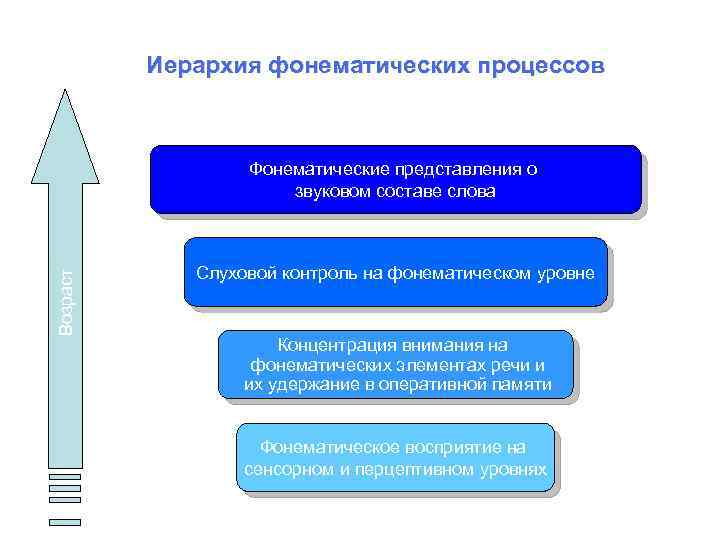 Иерархия фонематических процессов Возраст Фонематические представления о звуковом составе слова Слуховой контроль на фонематическом