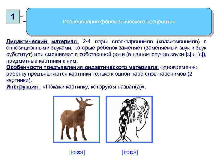 1 Исследование фонематического восприятия Дидактический материал: 2 -4 пары слов-паронимов (квазиомонимов) с оппозиционными звуками,