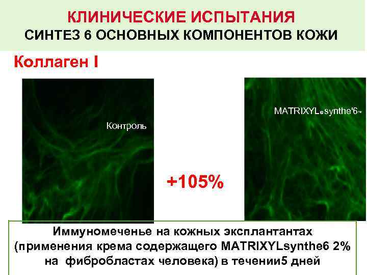 КЛИНИЧЕСКИЕ ИСПЫТАНИЯ СИНТЕЗ 6 ОСНОВНЫХ КОМПОНЕНТОВ КОЖИ Коллаген I MATRIXYL® synthe'6™ Контроль +105% Иммуномеченье