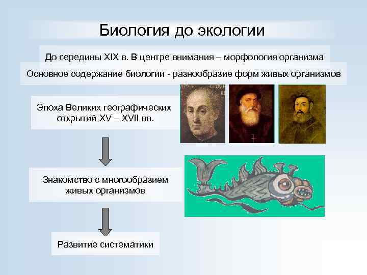 Биология до экологии До середины XIX в. В центре внимания – морфология организма Основное