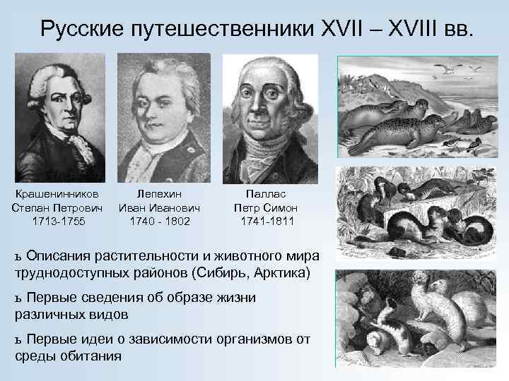 Русские путешественники XVII – XVIII вв. Крашенинников Степан Петрович 1713 -1755 Лепехин Иванович 1740