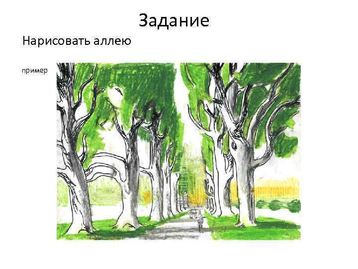  Задание Нарисовать аллею пример 