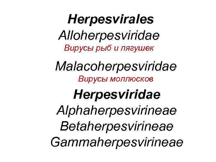 Herpesvirales Alloherpesviridae Вирусы рыб и лягушек Malacoherpesviridae Вирусы моллюсков Herpesviridae Alphaherpesvirineae Betaherpesvirineae Gammaherpesvirineae 