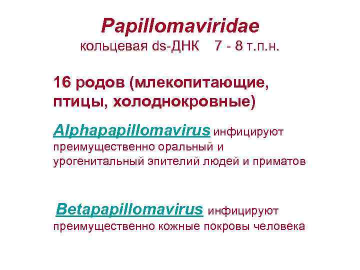 Papillomaviridae кольцевая ds-ДНК 7 - 8 т. п. н. 16 родов (млекопитающие, птицы, холоднокровные)