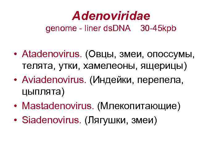 Adenoviridae genome - liner ds. DNA 30 -45 kpb • Atadenovirus. (Овцы, змеи, опоссумы,