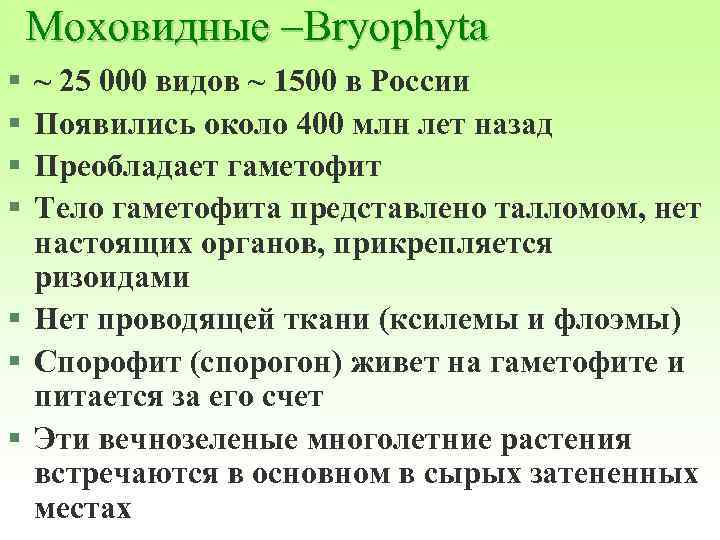 Моховидные –Bryophyta § § ~ 25 000 видов ~ 1500 в России Появились около