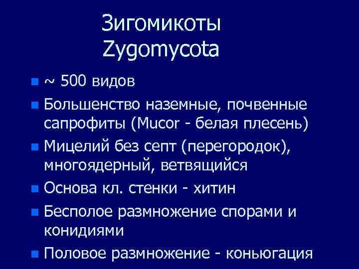 Зигомикоты Zygomycota ~ 500 видов n Большенство наземные, почвенные сапрофиты (Mucor - белая плесень)