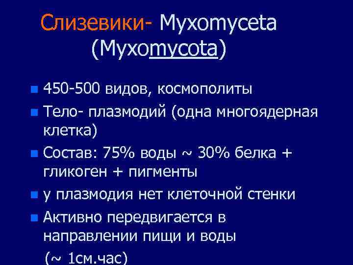 Слизевики- Myxomyceta (Myxomycota) 450 -500 видов, космополиты n Тело- плазмодий (одна многоядерная клетка) n